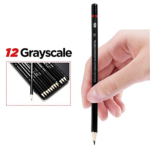 Professional Sketch and Drawing pencils set
