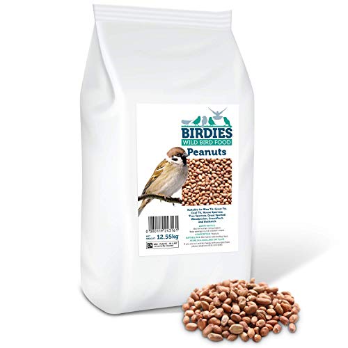 Birdies Wild Bird Food- Premium Peanuts