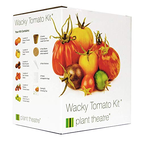 Plant Theatre Wacky Tomato Kit