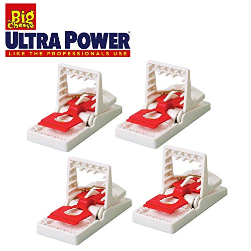 The Big Cheese Ultra Power Traps