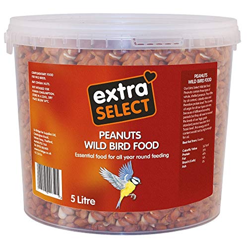Peanuts Wild Bird Food