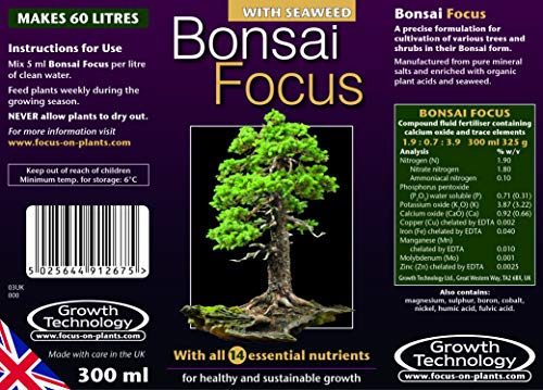 Gift Republic: Grow It. Grow Your Own Bonsai Trees