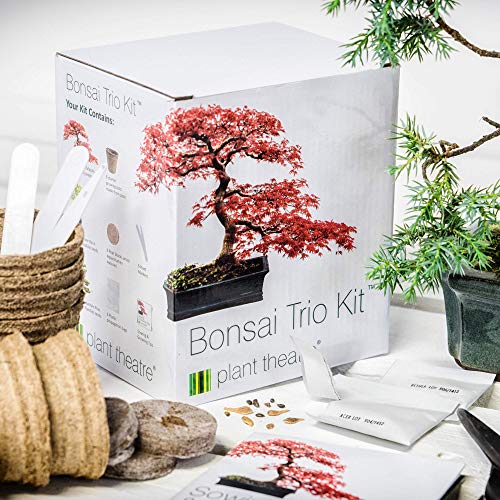 Plant Theatre Bonsai Trio Kit