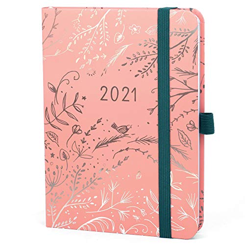 Boxclever Press Everyday 2021 Diary