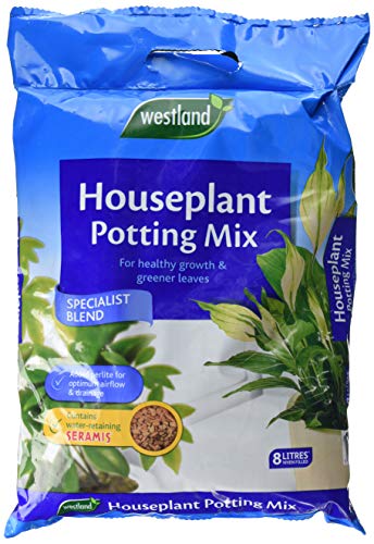 Westland Houseplant Potting