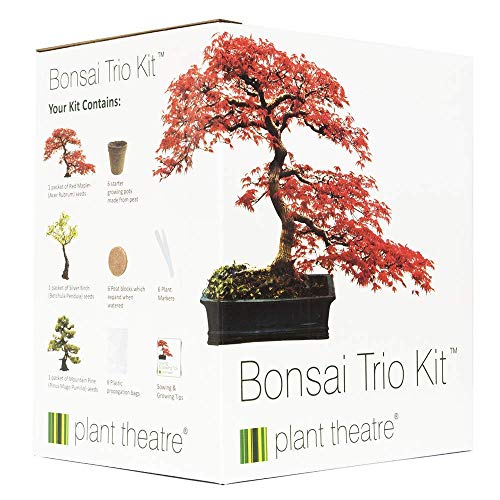Plant Theatre Bonsai Trio Kit