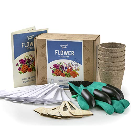 Flower Seed Growing Kit 12 Seed Packets