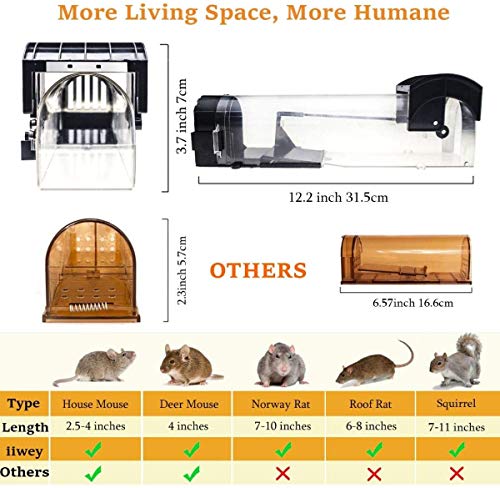Humane Mouse Trap Enlarged Smart Mouse