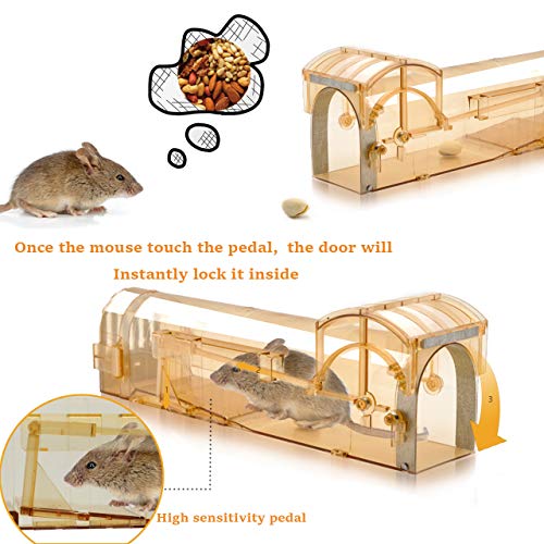 Humane Mouse Trap, 32 cm