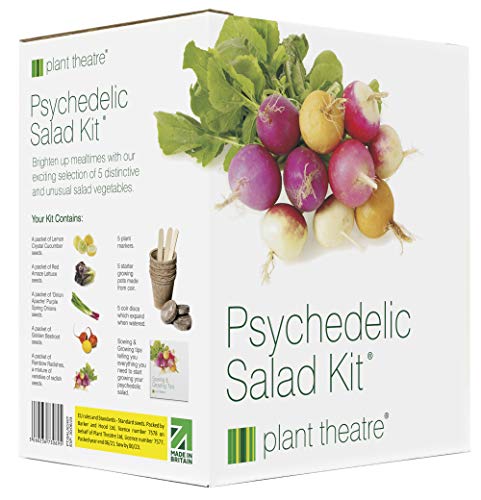 Psychedelic Salad Kit by Plant Theatre