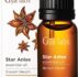 Gya Labs Star Anise Essential Oil for Stress
