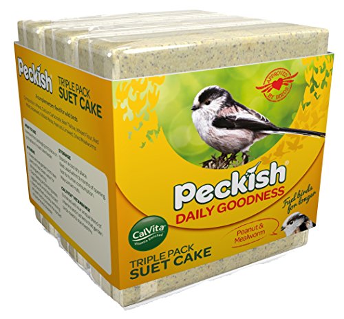 Peckish Daily Goodness Mealworm for Wild Birds