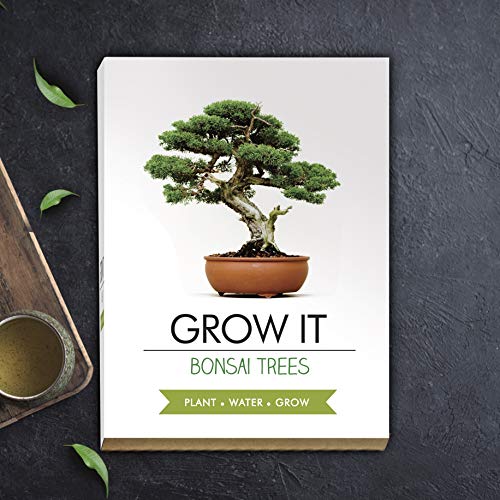 Gift Republic: Grow It. Grow Your Own Bonsai Trees